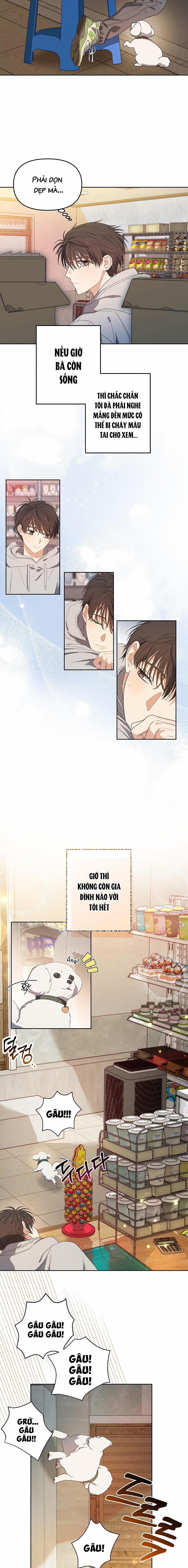 Bánh Kem Cherry 1 trang 5