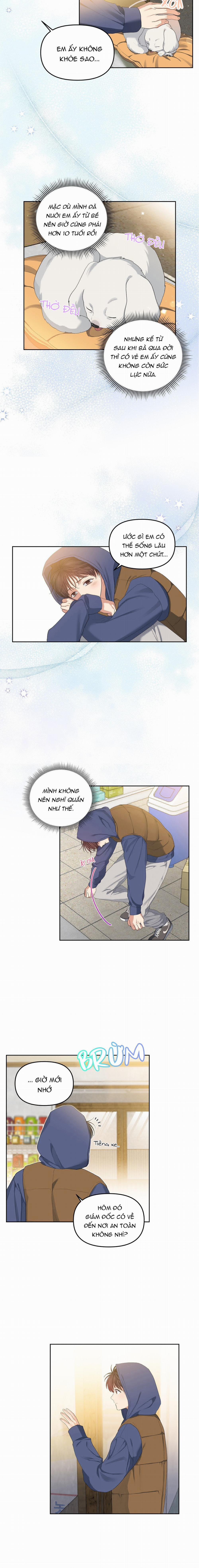 Bánh Kem Cherry 12 trang 9