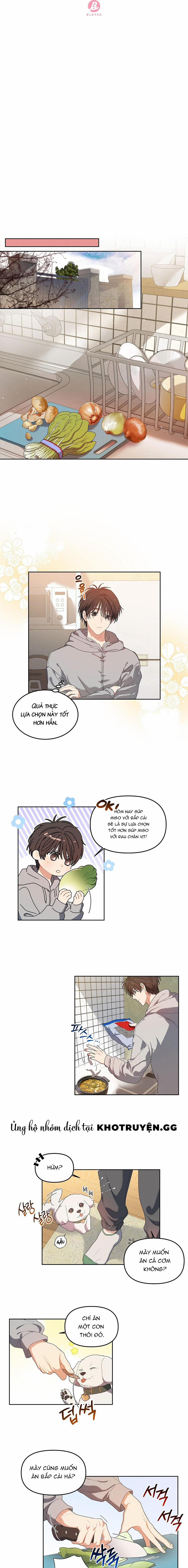 Bánh Kem Cherry 3 trang 4