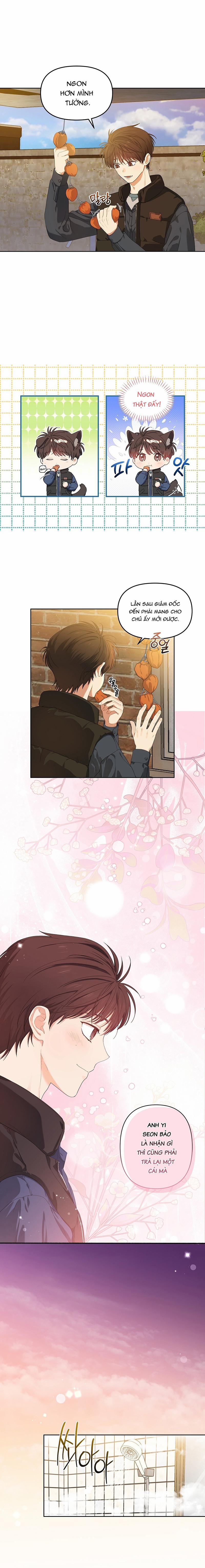 Bánh Kem Cherry 6 trang 1