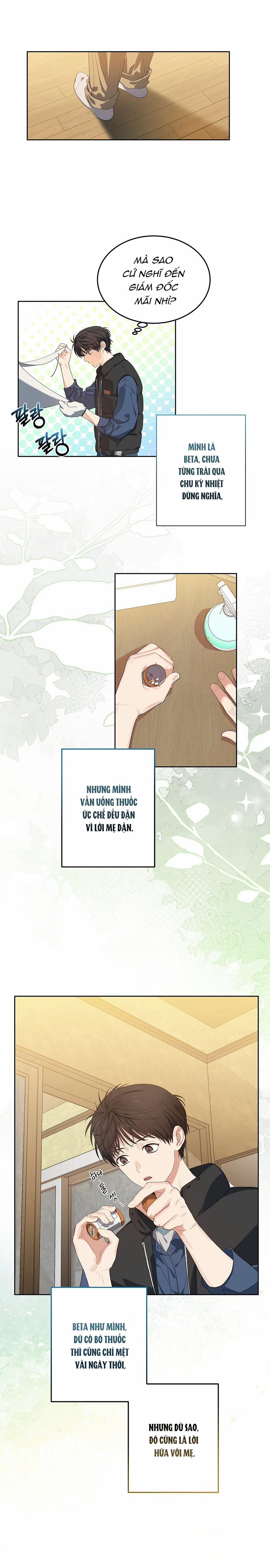 Bánh Kem Cherry 6 trang 6