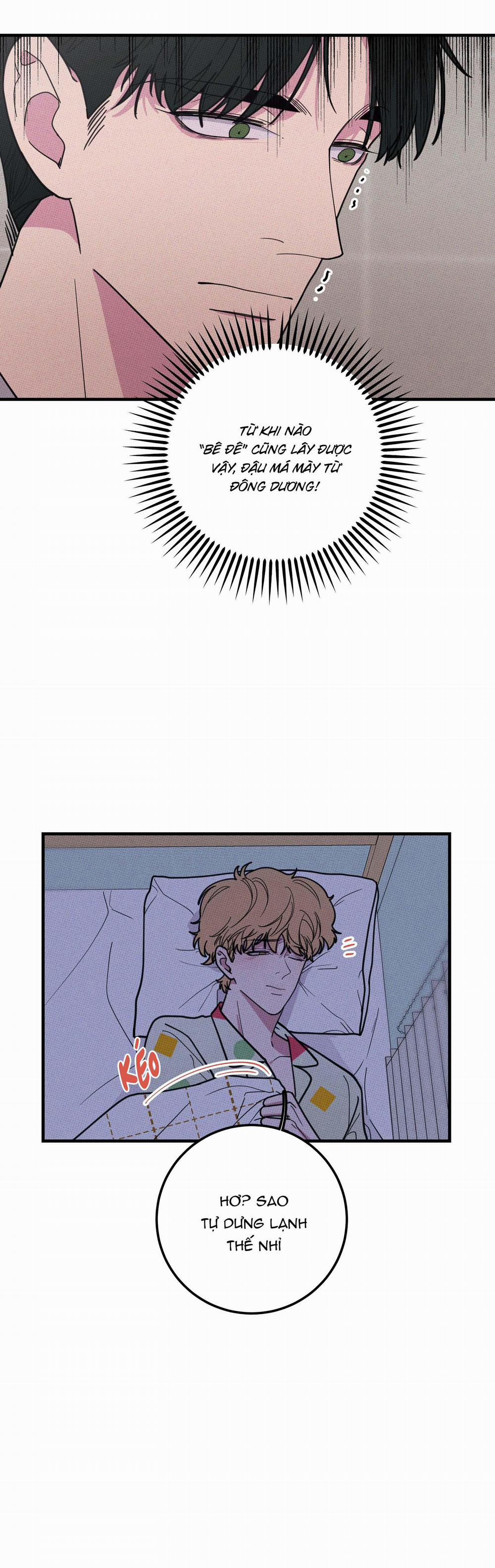 BÁNH QUY TẨM ĐÁ (END) 10 trang 12