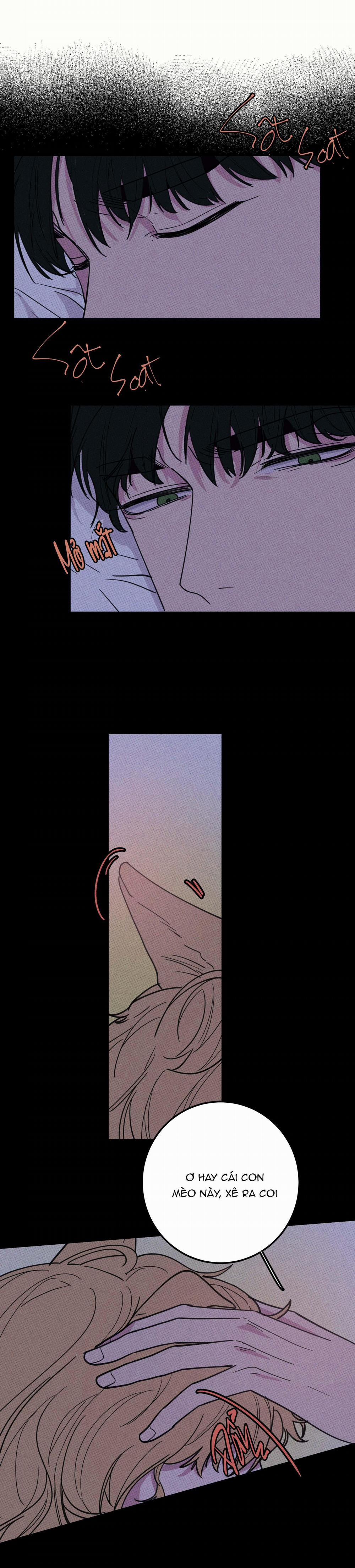 BÁNH QUY TẨM ĐÁ (END) 10 trang 5