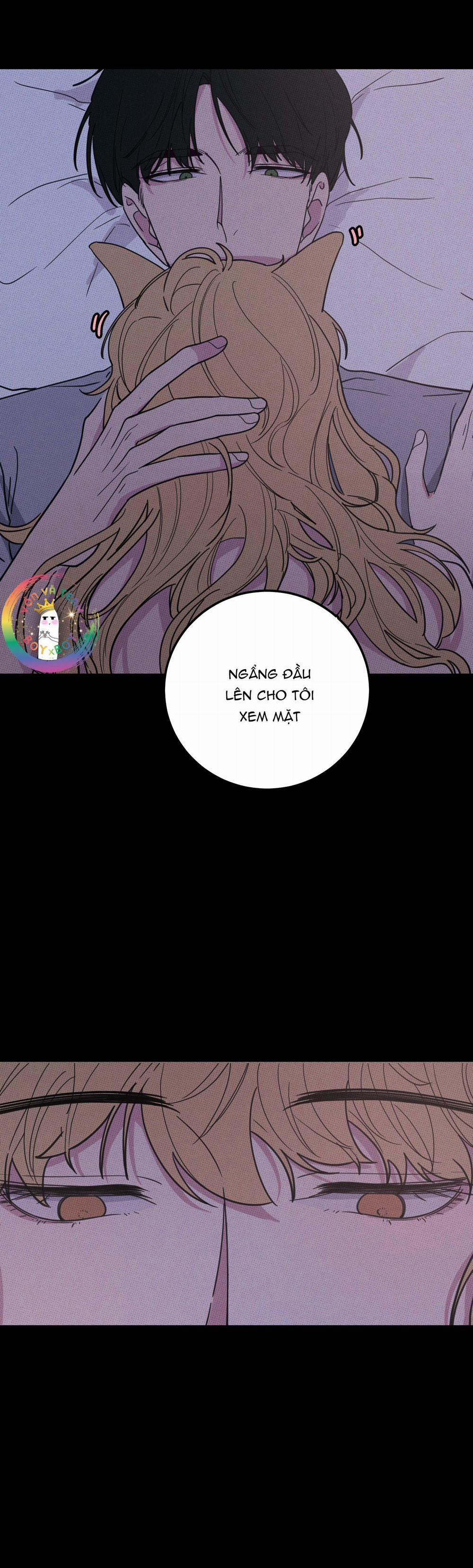 Bánh Quy Tẩm Đá 10 trang 8