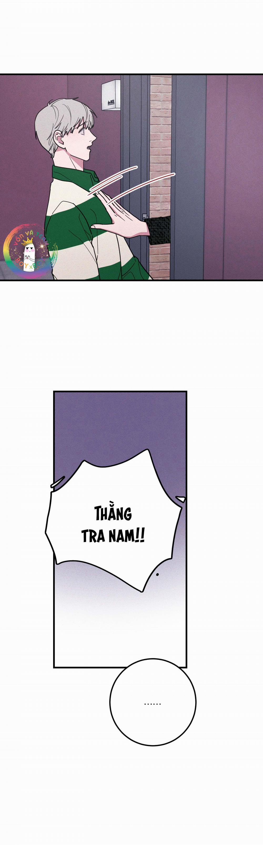 Bánh Quy Tẩm Đá 11 trang 1