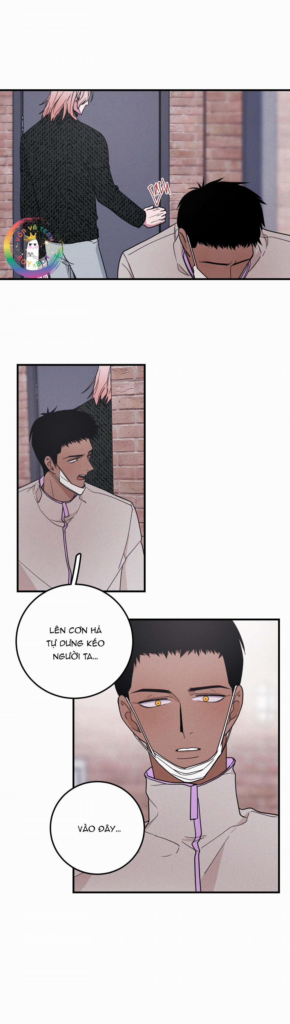 Bánh Quy Tẩm Đá 11 trang 15