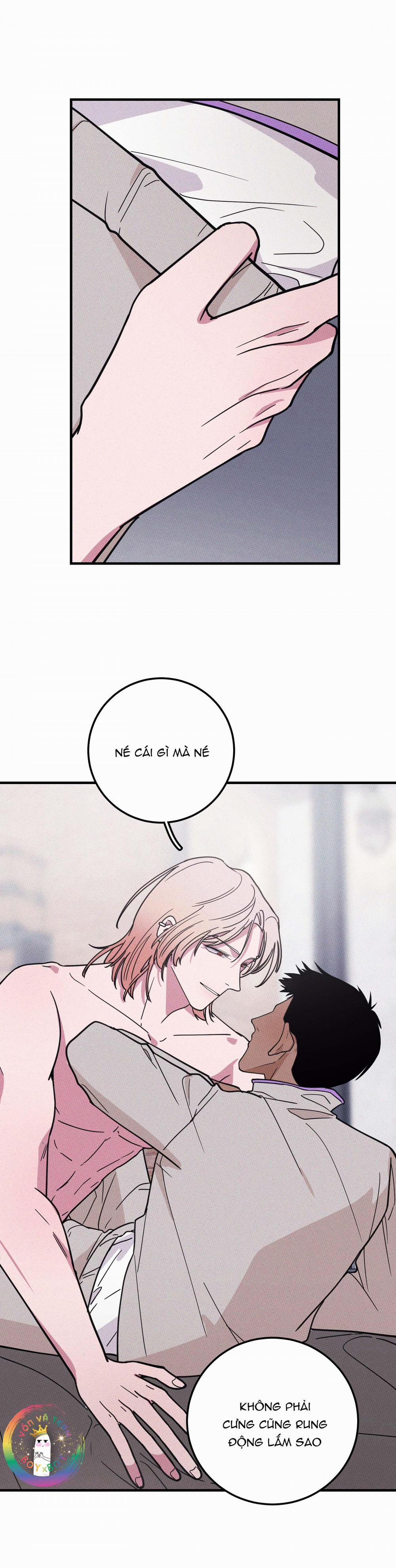 Bánh Quy Tẩm Đá 11 trang 21