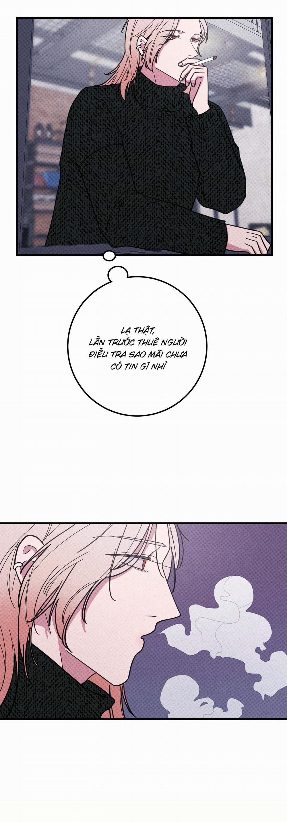 Bánh Quy Tẩm Đá 11 trang 3