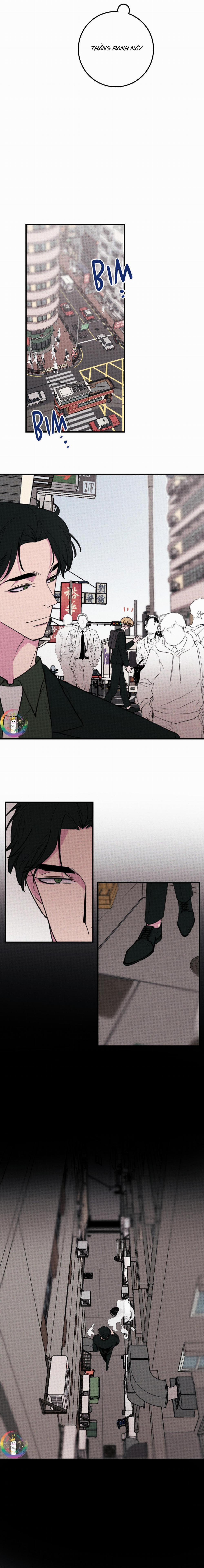 Bánh Quy Tẩm Đá 12 trang 3