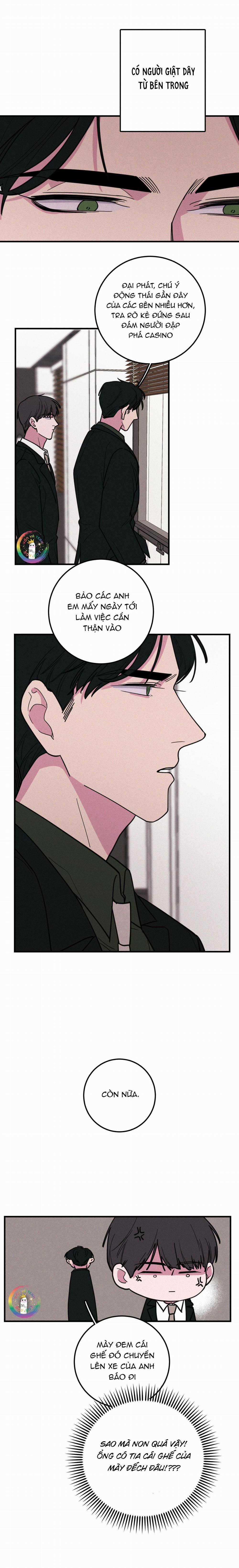 Bánh Quy Tẩm Đá 12 trang 9