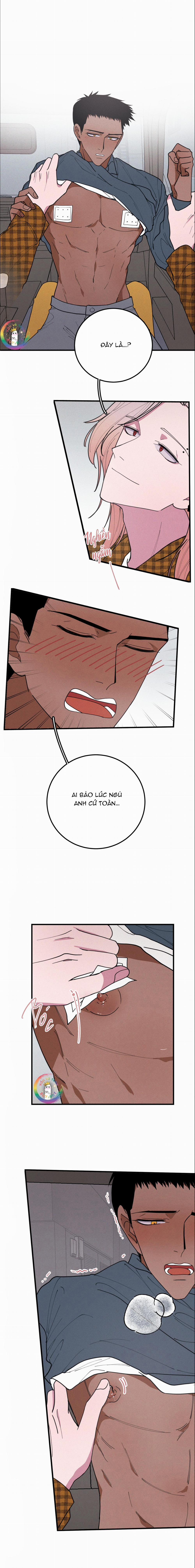 Bánh Quy Tẩm Đá 14.1 trang 3