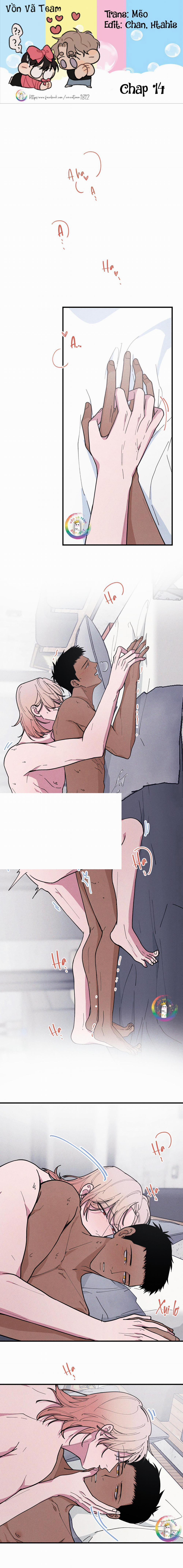 Bánh Quy Tẩm Đá 14 trang 0