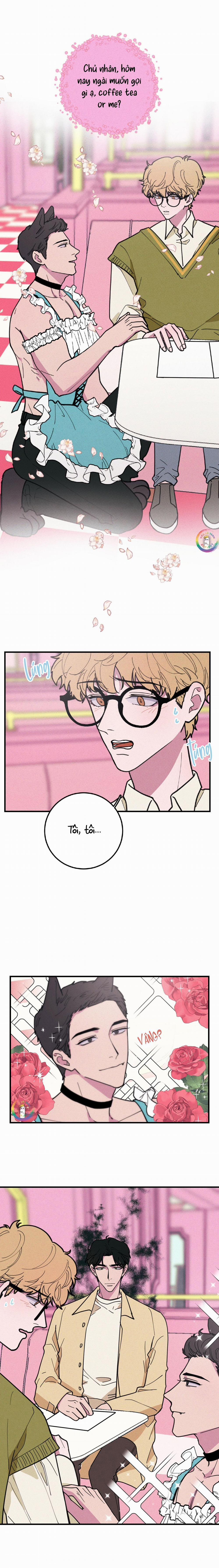 Bánh Quy Tẩm Đá 15 trang 4