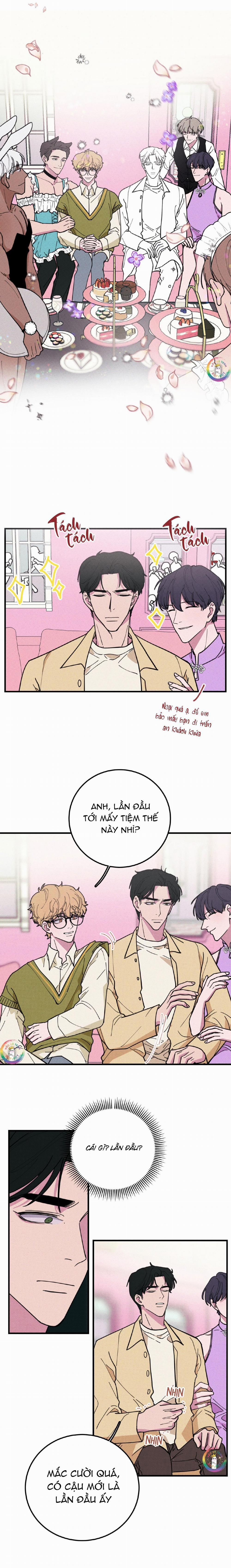 Bánh Quy Tẩm Đá 15 trang 6