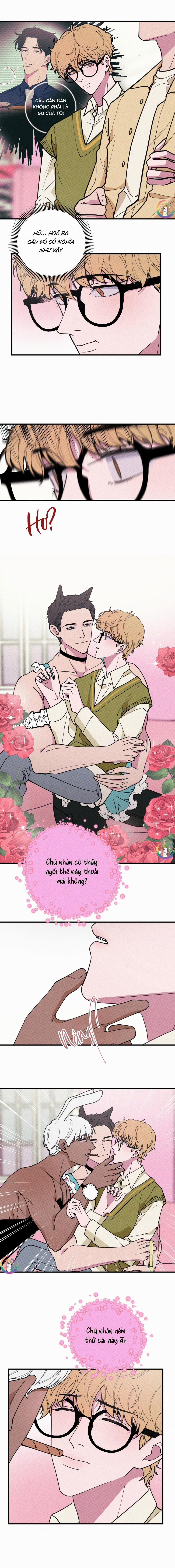 Bánh Quy Tẩm Đá 15 trang 7