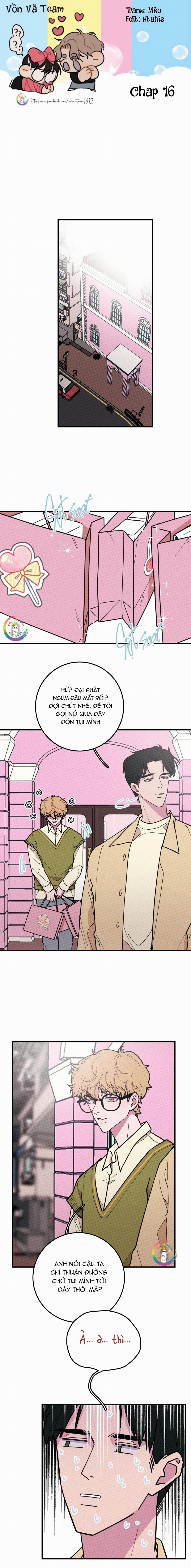 Bánh Quy Tẩm Đá 16 trang 0