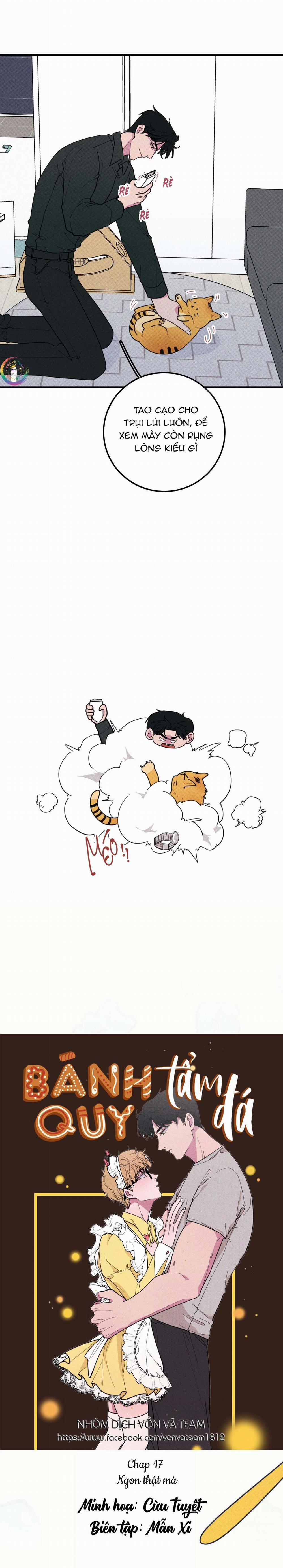 Bánh Quy Tẩm Đá 17 trang 1