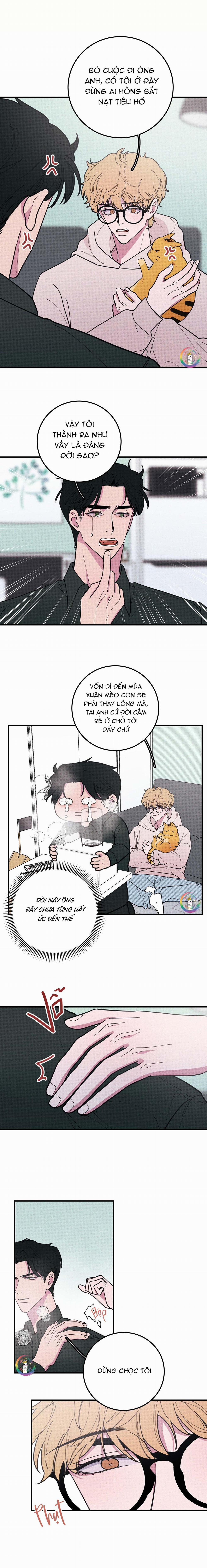 Bánh Quy Tẩm Đá 17 trang 2