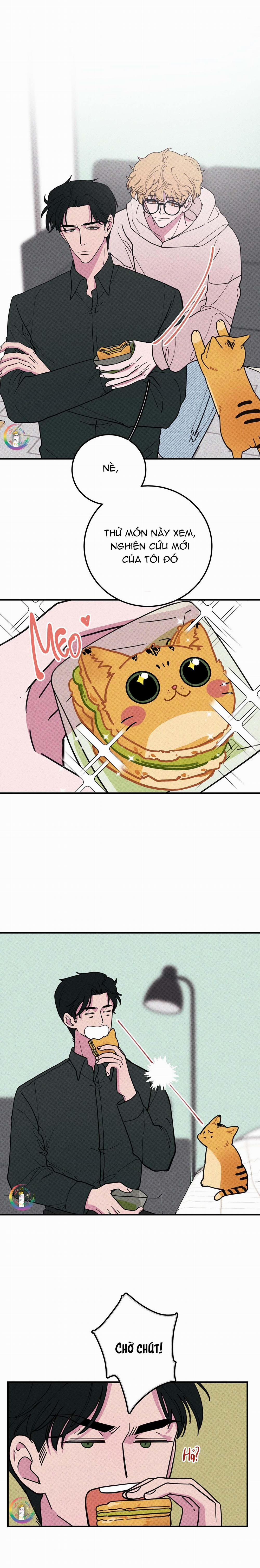 Bánh Quy Tẩm Đá 17 trang 3