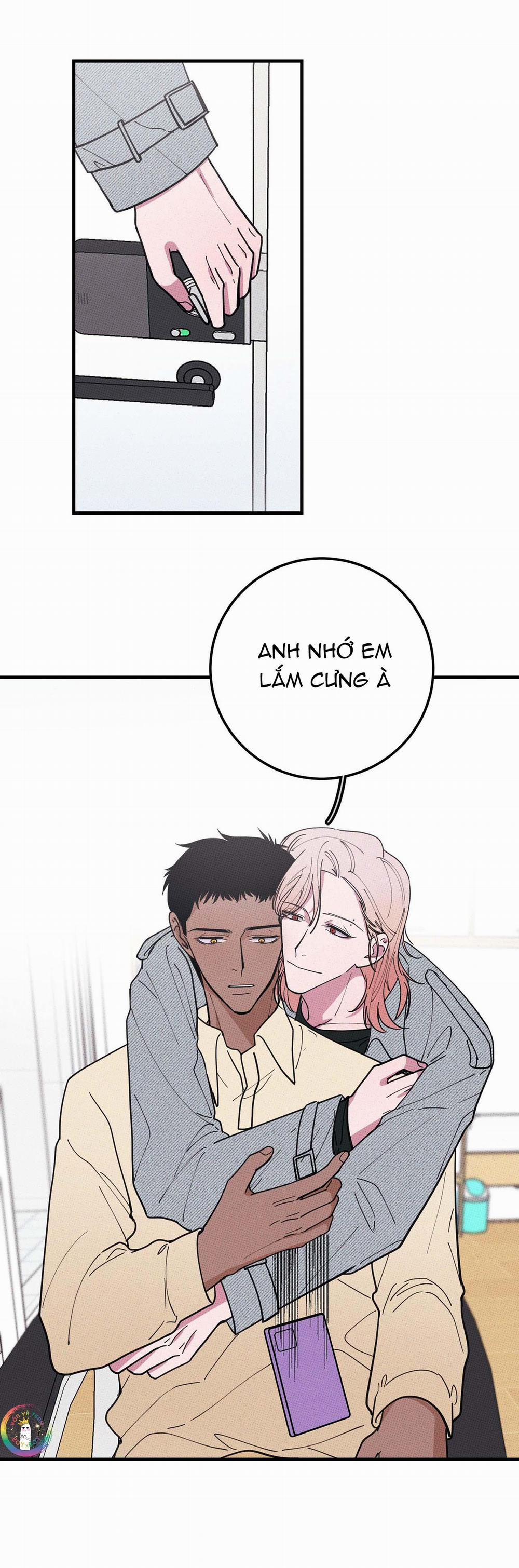 Bánh Quy Tẩm Đá 17 trang 6