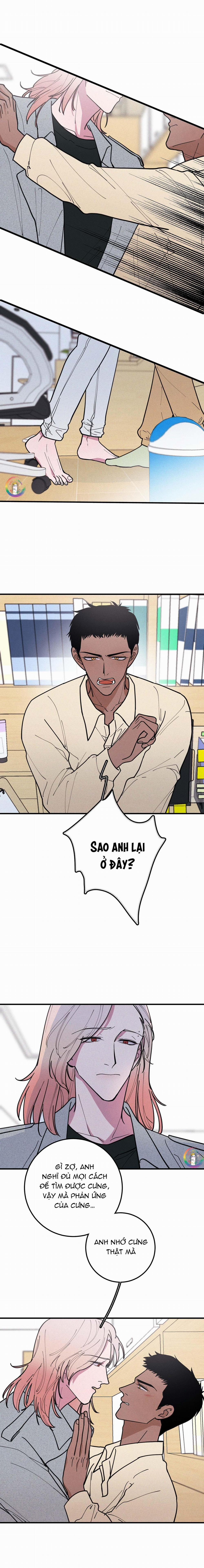 Bánh Quy Tẩm Đá 17 trang 7