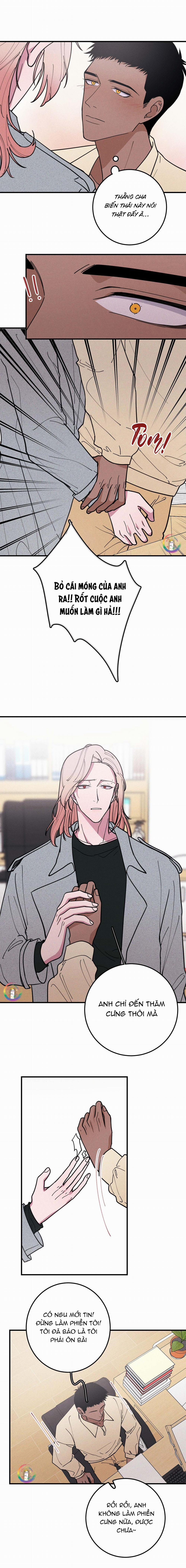 Bánh Quy Tẩm Đá 17 trang 8