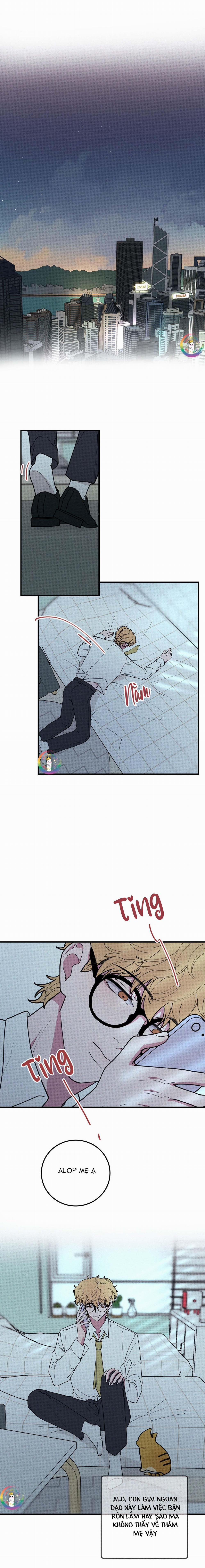 Bánh Quy Tẩm Đá 18 trang 9