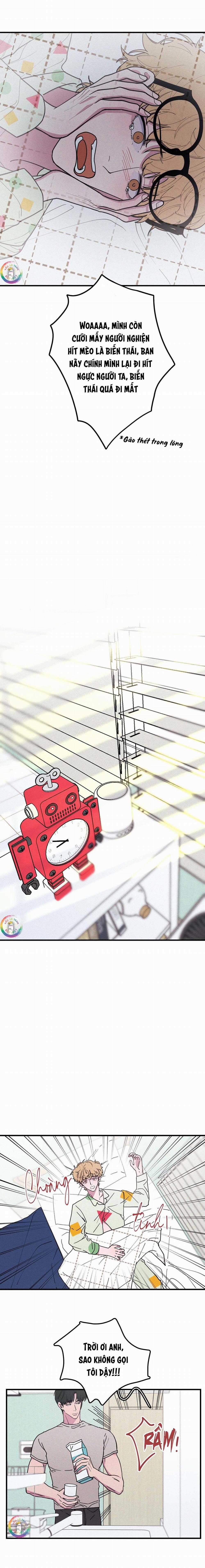 Bánh Quy Tẩm Đá 19 trang 8