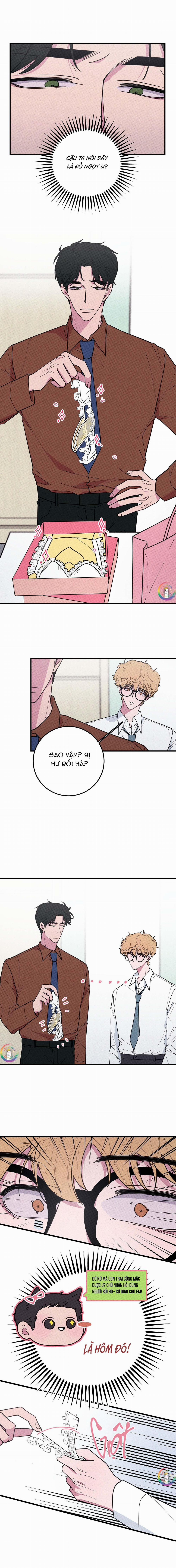 Bánh Quy Tẩm Đá 20 trang 5