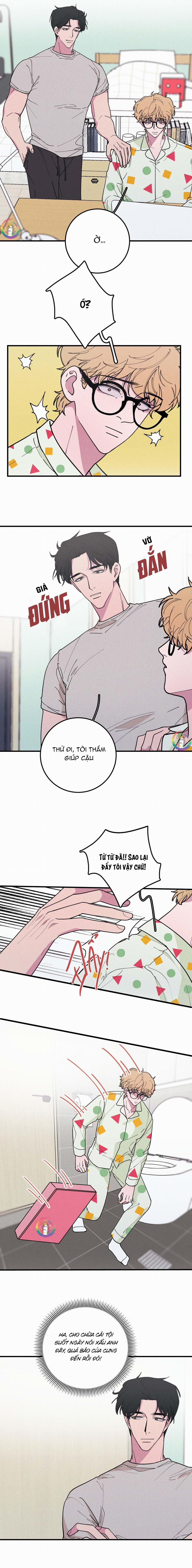 Bánh Quy Tẩm Đá 20 trang 8