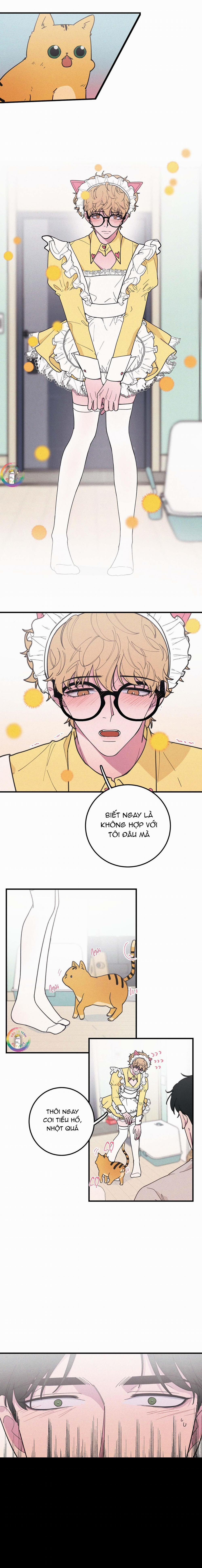 Bánh Quy Tẩm Đá 21 trang 1