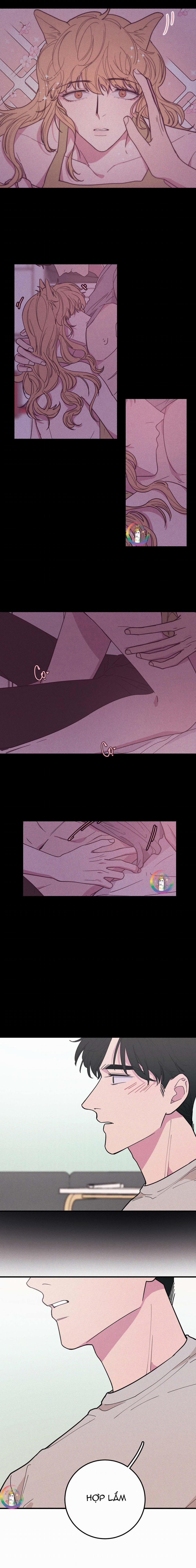 Bánh Quy Tẩm Đá 21 trang 2