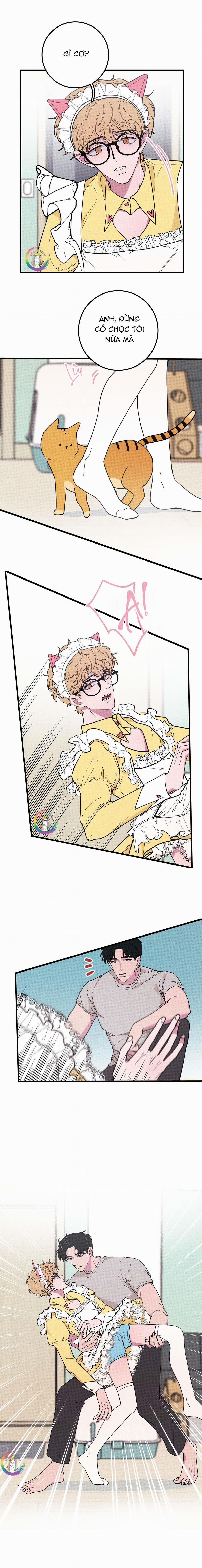 Bánh Quy Tẩm Đá 21 trang 3