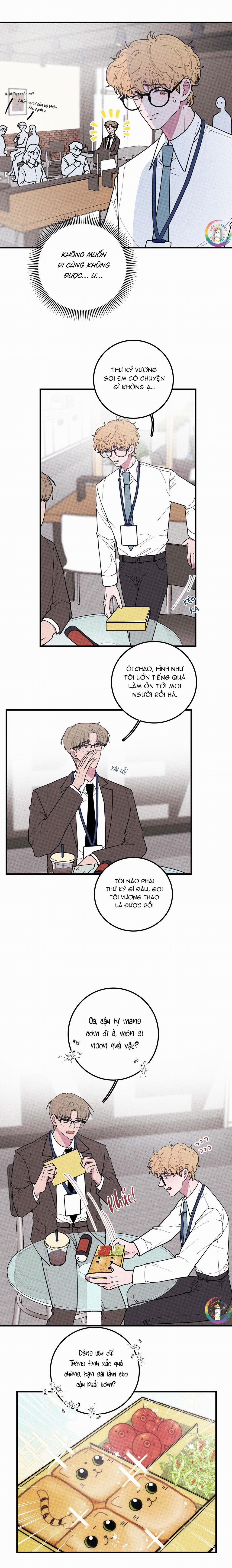 Bánh Quy Tẩm Đá 22 trang 3