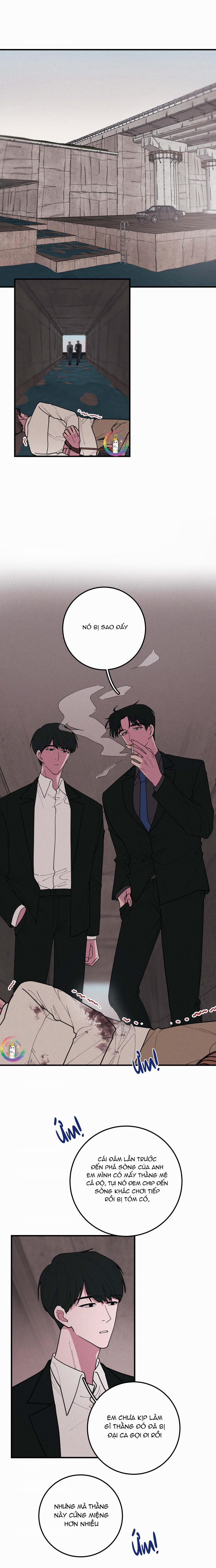 Bánh Quy Tẩm Đá 23 trang 3