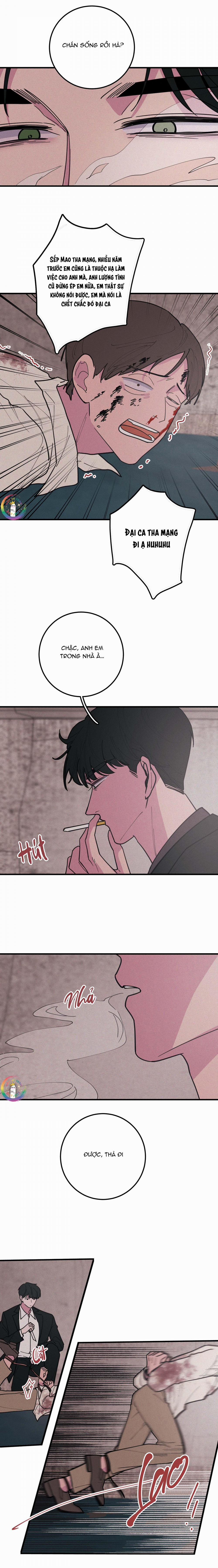 Bánh Quy Tẩm Đá 23 trang 5