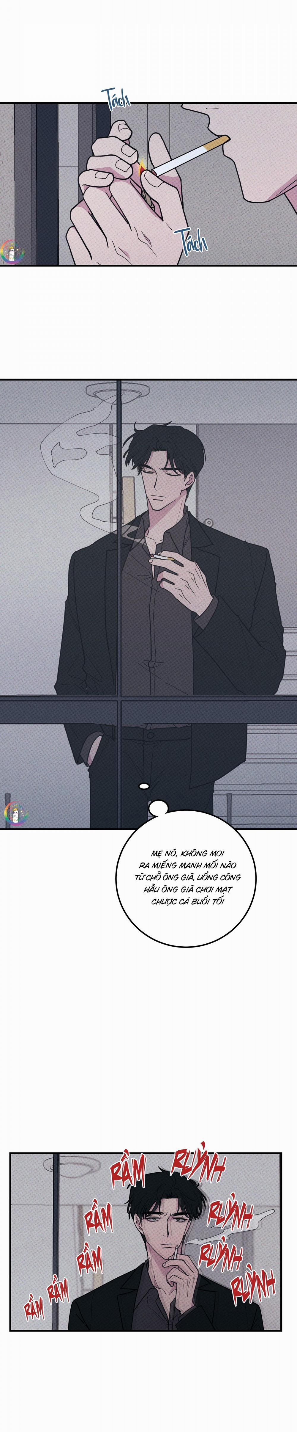 Bánh Quy Tẩm Đá 24 trang 7