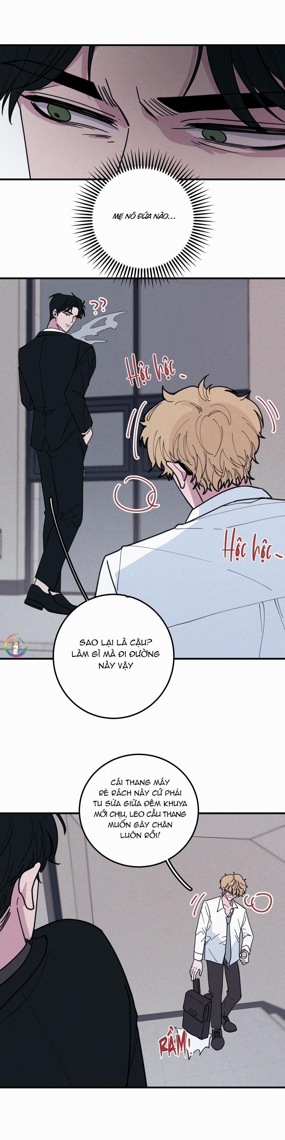 Bánh Quy Tẩm Đá 24 trang 8