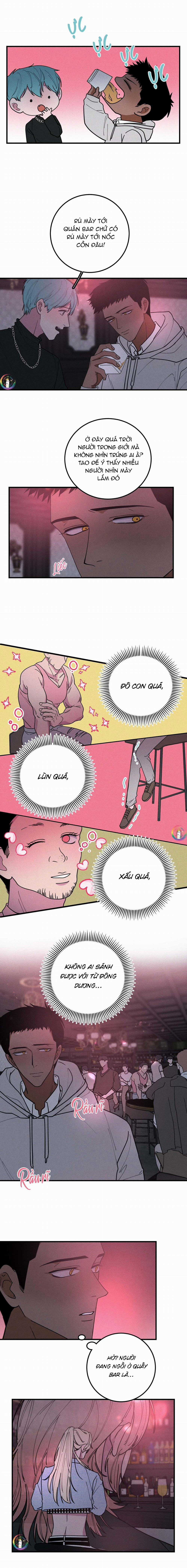 Bánh Quy Tẩm Đá 26 trang 1