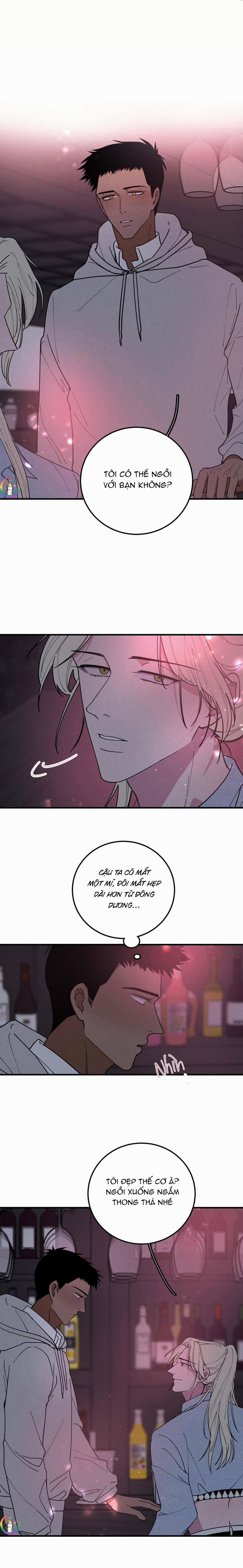 Bánh Quy Tẩm Đá 26 trang 3