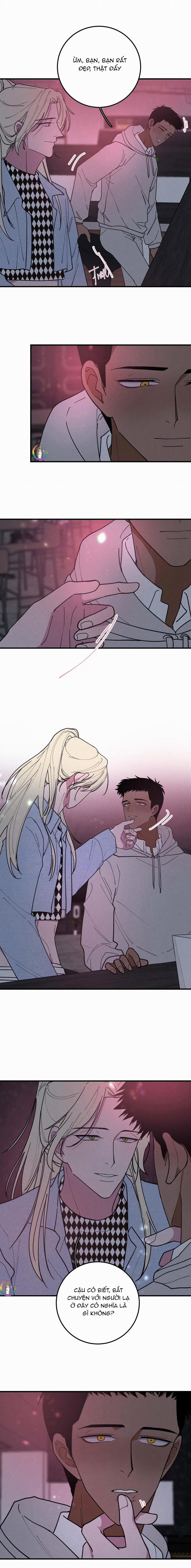 Bánh Quy Tẩm Đá 26 trang 4