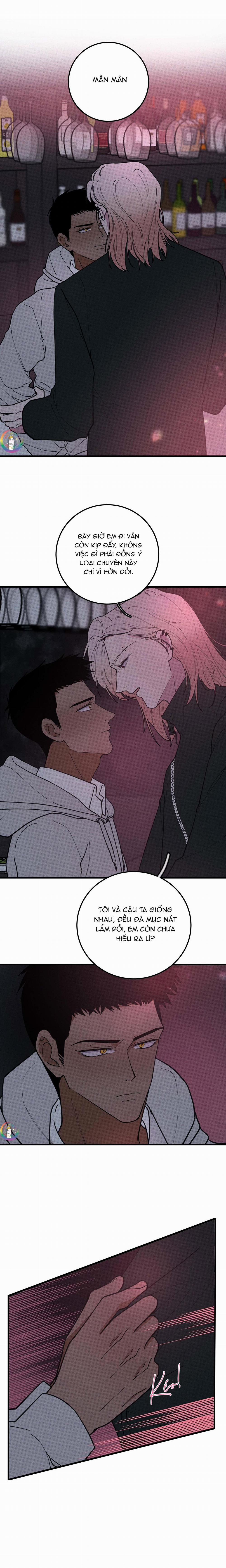 Bánh Quy Tẩm Đá 26 trang 8