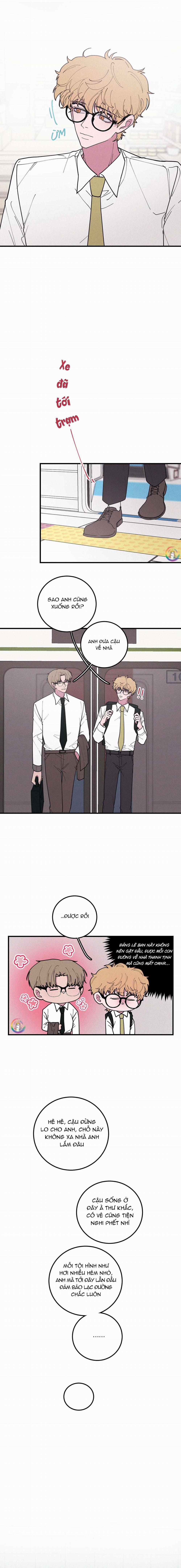 Bánh Quy Tẩm Đá 27 trang 8