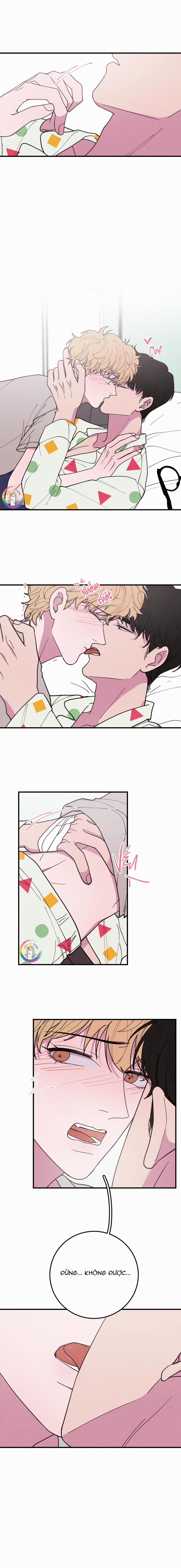 Bánh Quy Tẩm Đá 33 trang 3