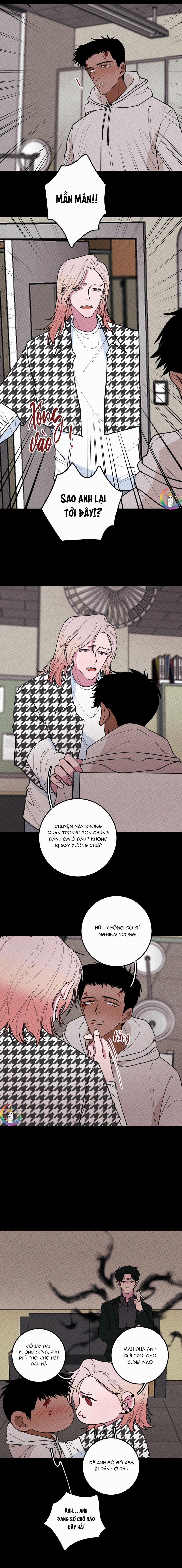 Bánh Quy Tẩm Đá 35 trang 7