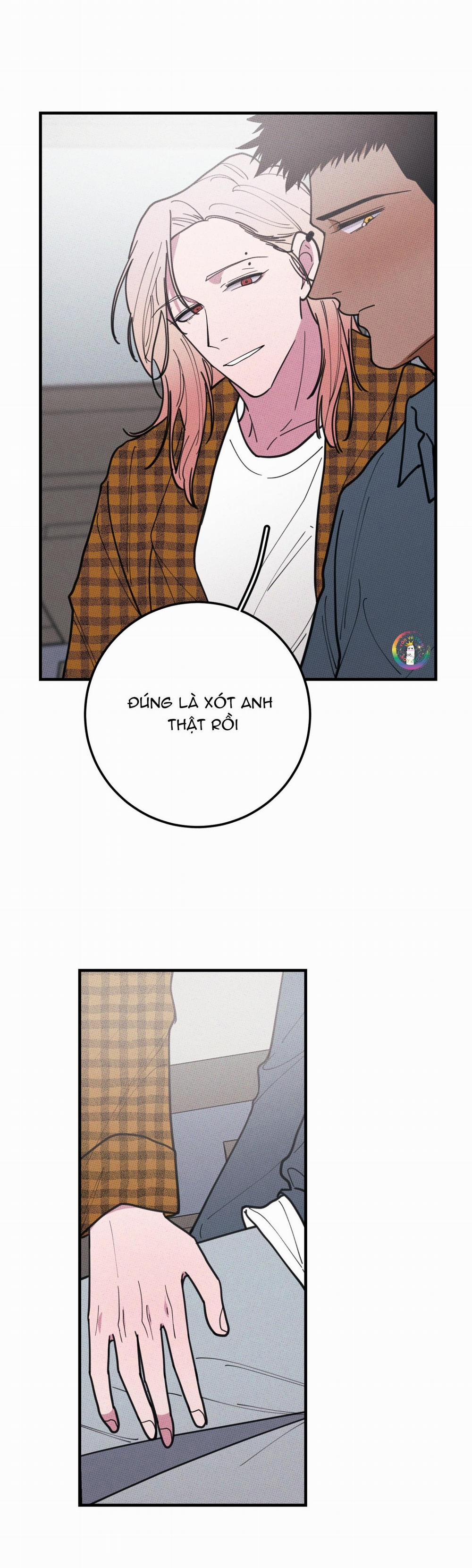 Bánh Quy Tẩm Đá 38 trang 13