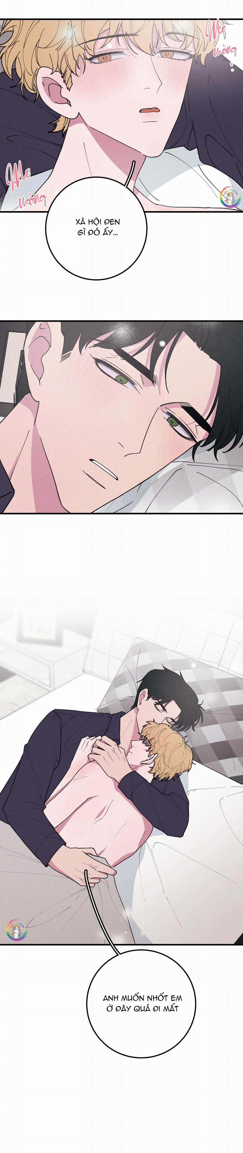 Bánh Quy Tẩm Đá 39 trang 12