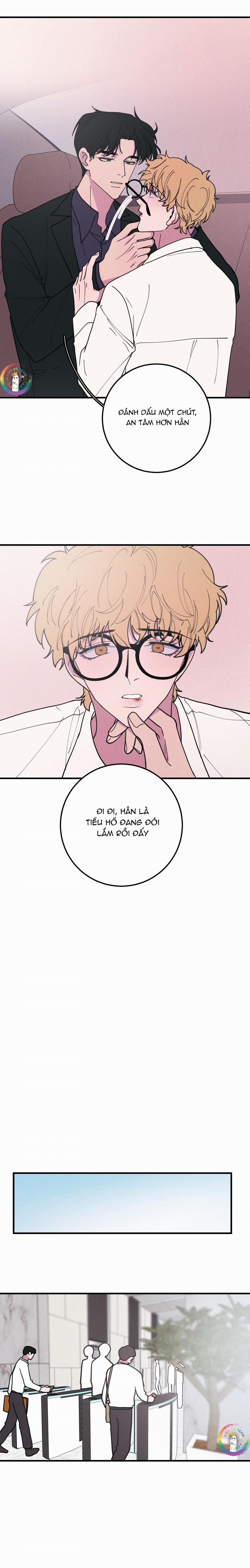 Bánh Quy Tẩm Đá 40 trang 7