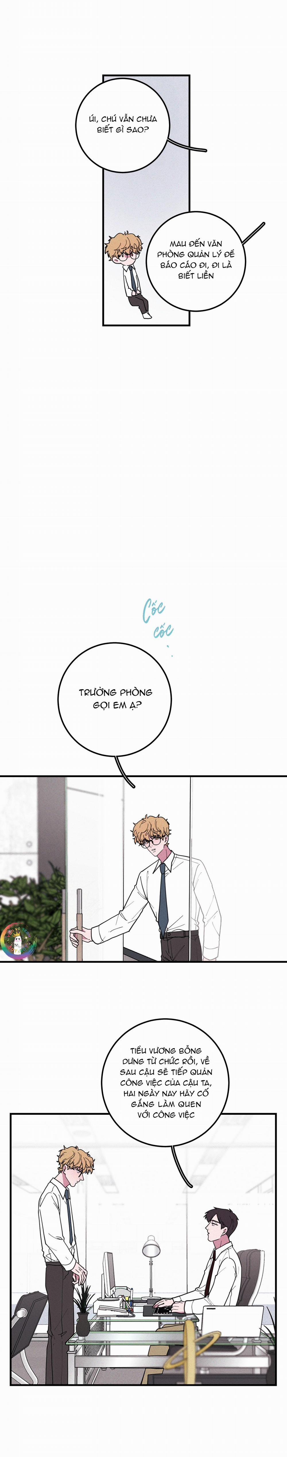 Bánh Quy Tẩm Đá 40 trang 9