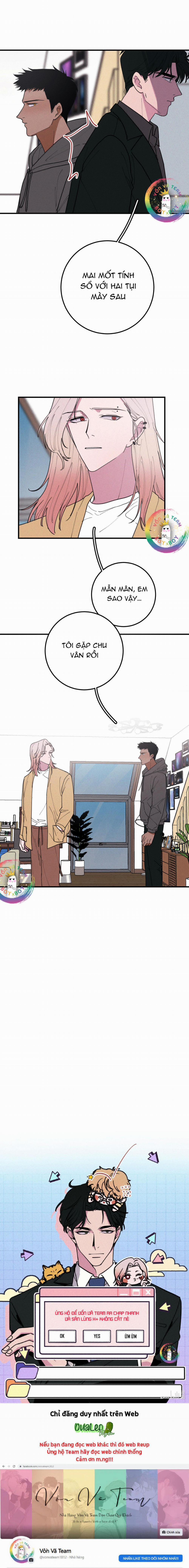 Bánh Quy Tẩm Đá 44 trang 6